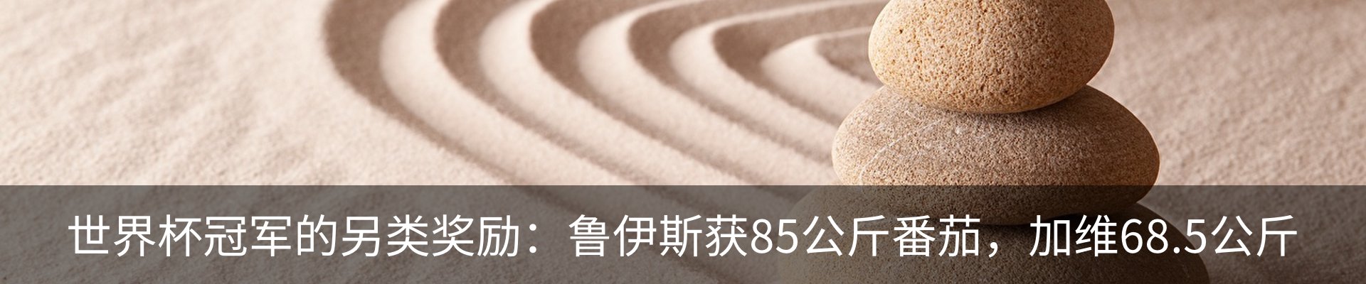 资讯动态
