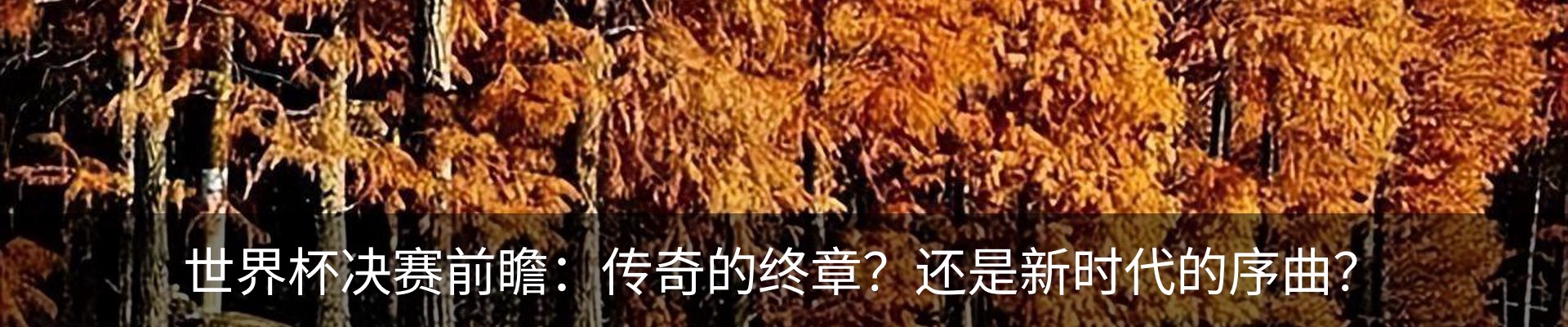 资讯动态