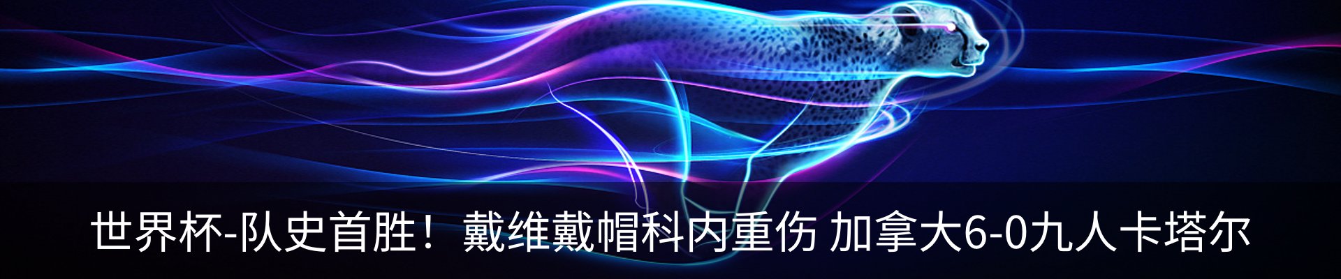 资讯动态