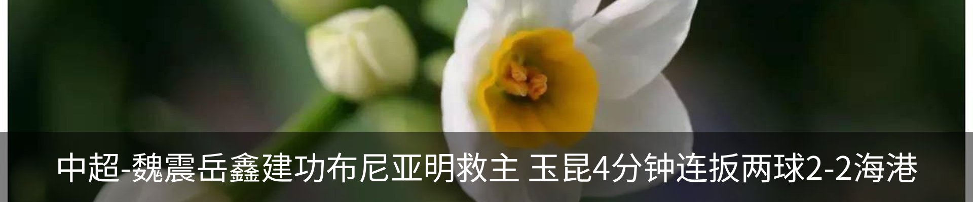 资讯动态
