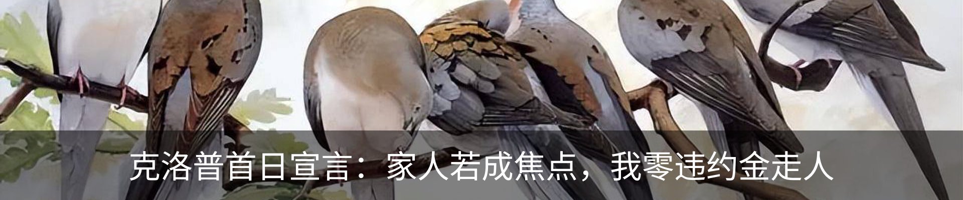 资讯动态