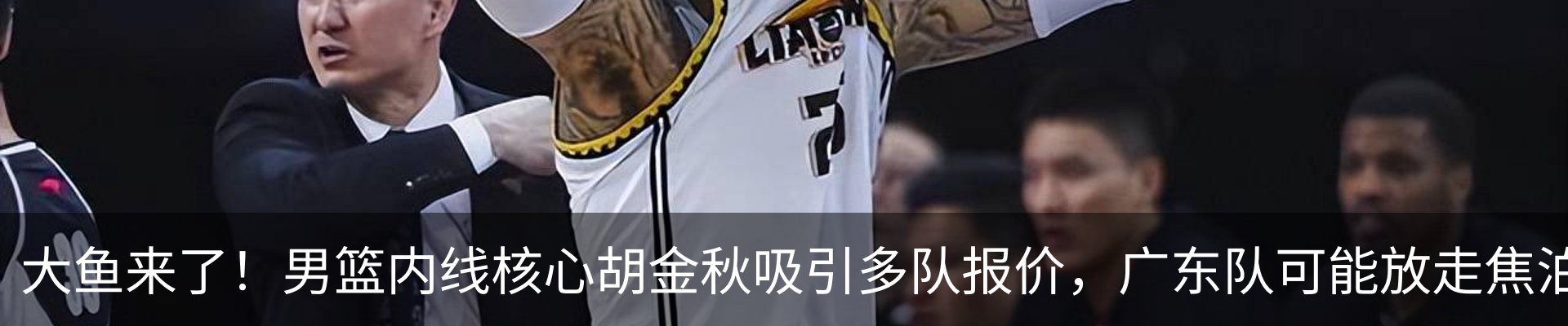 资讯动态