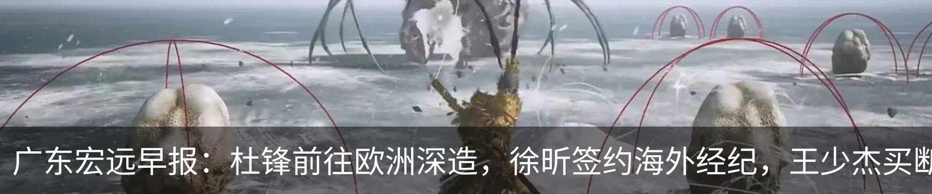 资讯动态