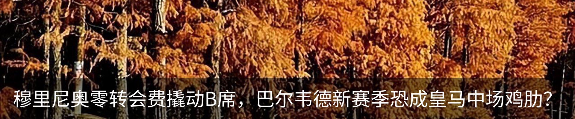 资讯动态