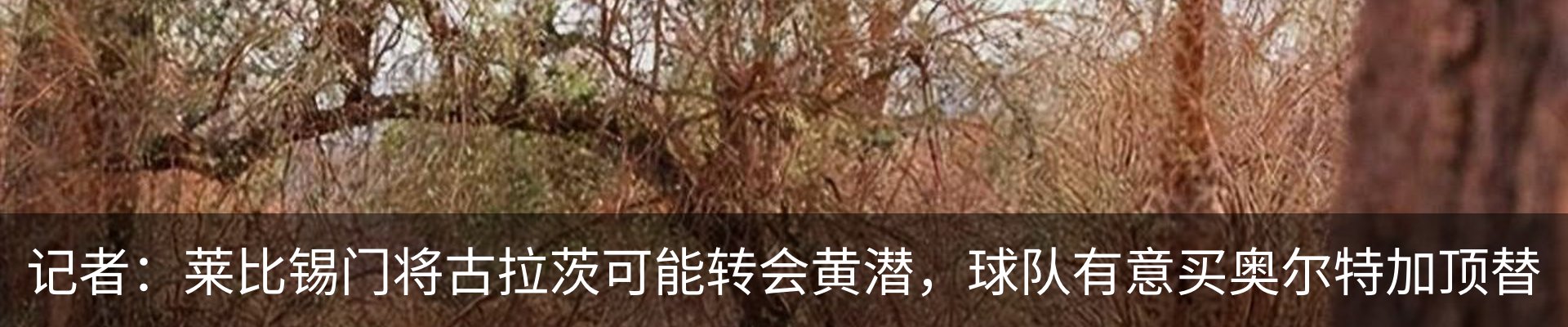 资讯动态